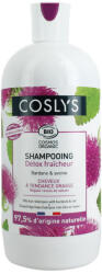 Coslys Sampon bio de ingrijire pentru par gras cu extract de jujube si brusture, 500ml, Coslys
