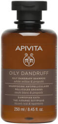 APIVITA Hair Sampon pentru matreata grasa, 250ml