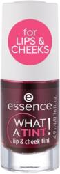 essence Ruj si fard de orbraz What a Tint! Lip&Cheek Tint 01, 4.9ml, Essence