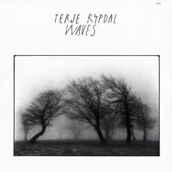  Terje Rypdal: Waves