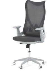  HOMEPRO Gaius, szürke (KA-S248 GREY)