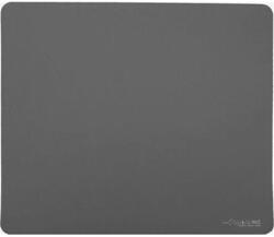 Artisan Ninja FX Type-99 Soft L gri (FX-T99-SF-L-G) Mouse pad