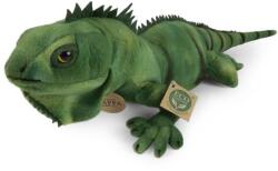 Rappa Iguana verde de pluș 70 cm ECO-FRIENDLY (RP198128)