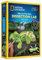 National Geographic - Kit creativ laborator de disectie soparla (NG23036) - ookee