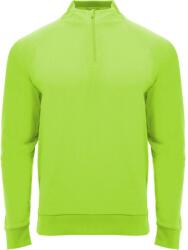 Roly Unisex felnőtt Epiro negyedcipzáras hosszú ujjú melegítő pulóver XL zöld