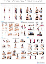 Feövenyessy anatómiai poszter - A könyök, csukló, csípő, térd, boka leggyakoribb tesztjei