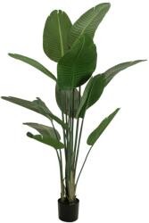  EUROPALMS Strelitzia, artificial plant, 170cm (82540523)