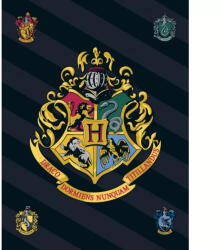  Harry Potter Black polár takaró 100x140cm (BRM007024) - oliviashop