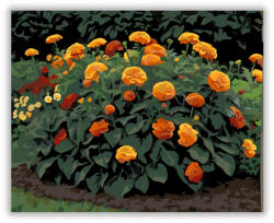  Őszirózsák Tüze - számfestő készlet