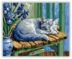  Nyugodt Macska és Íriszek - számfestő készlet