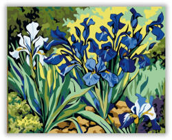  Íriszek Színpompája - számfestő készlet