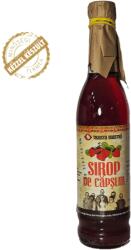 Traista Noastră Traista Noastra eper szörp (440 ml)