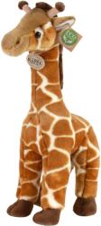 Rappa Плюшена играчка Rappa Еко приятели - Жираф, 40 cm (944251) - baby