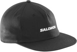 Salomon Cap Flat Цвят: черен