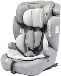 Summer Baby Porto Scaun auto copii