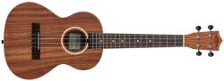 Lanikai LU21-T