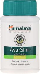 Himalaya Himalaya AyurSlim, súlykontroll, 60 kapszula