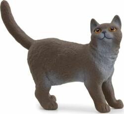 Schleich Schleich: Brit rövidszőrű macska figura (SLH13973)