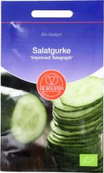 De Bolster Telegraph Improved" kígyó uborka - 1, 50 g