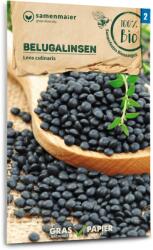 Samen Maier Bio Beluga lencse - 1 csomag