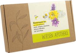 naturkraftwerk Illatos rét" gyógynövény mag szett - 1 szett