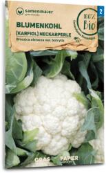 Samen Maier Bio "Neckarperle" karfiol - 1 csomag
