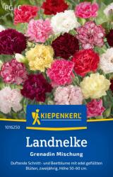 kiepenkerl Grenadin keverék" szegfű - 1 csomag