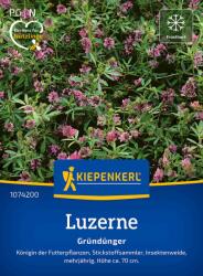 kiepenkerl Lucerna - 1 csomag