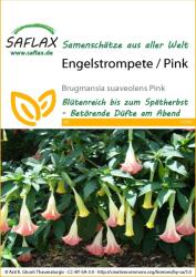 Saflax Angyaltrombita / rózsaszín - 1 csomag