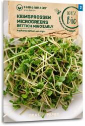 Samen Maier Mino Early" retek bio csíráztatni való mag/mikrozöld - 1 csomag