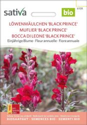 Sativa Black Prince" Bio oroszlánszáj - 1 csomag