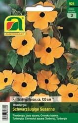 AUSTROSAAT Szárnyas feketeszem - 1 csomag