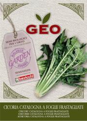 Bavicchi Catalogne Chicory" bio olasz levélzöldség - 6 g