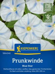 kiepenkerl Blue Star" kerti hajnalka - 1 csomag