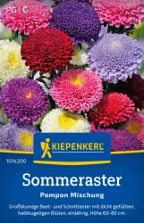 kiepenkerl Pompon keverék" őszirózsa - 1 csomag