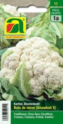 AUSTROSAAT Bola de nieve" karfiol - 1 db