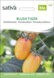 Sativa Bio "Blush Tiger" datolyaparadicsom - 1 csomag