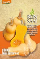 ReinSaat Mini Butternut" tök - 1 csomag