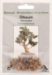 TROPICA Olajfa - 1 csomag