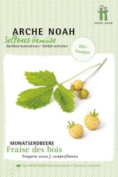 Arche Noah Fraise des Bois" Bio eper - 1 csomag