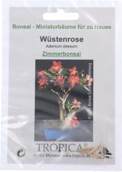 TROPICA Sivatagi rózsa - 1 csomag