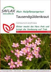 Saflax Kis ezerjófű - 1 csomag