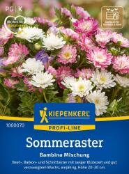 kiepenkerl Bambina őszirózsa keverék - 1 csomag