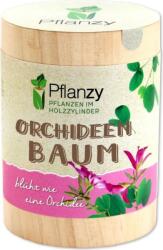Feel Green Pflanzy "Orchideafa" - 1 db