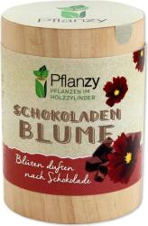 Feel Green Pflanzy "Kerti pillangóvirág" - 1 db