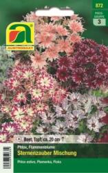 AUSTROSAAT Csillagvarázs keverék" lángvirág - 1 csomag