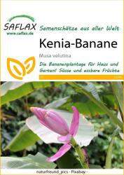 Saflax Pink banán - 1 csomag