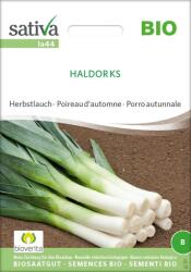 Sativa Bio "Haldor KS" őszi hagyma - 1 csomag