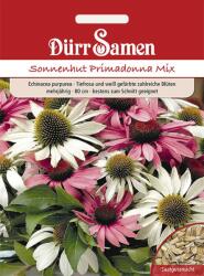 Dürr Samen Echinacea Primadonna Mix - 1 csomag