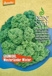 ReinSaat Westlandse Winter" fodros kel - 1 csomag